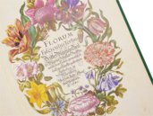 New Book of Flowers â Prestel Verlag â S.B.760 â SĂ€chsische Landesbibliothek â Staats- und UniversitĂ€tsbibliothek (Dresden, Germany) New Book of Flowers â Prestel Verlag â S.B.760 â SĂ€chsische Landesbibliothek â Staats- und UniversitĂ€tsbibliothek (Dresden, Germany)