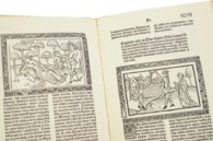 On Famous Women by Giovanni Boccaccio – Vicent Garcia Editores – I-1921 (ff. I-CII + ff. CIV-CV)|I-2444 (ff. CIII + CVI-CIX) – Biblioteca Nacional de España (Madrid, Spain) On Famous Women by Giovanni Boccaccio – Vicent Garcia Editores – I-1921 (ff. I-CII + ff. CIV-CV)|I-2444 (ff. CIII + CVI-CIX) – Biblioteca Nacional de España (Madrid, Spain)