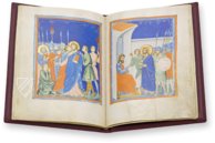 Pacino di Bonaguida’s Picture Book – Müller & Schindler – MS M.643 – The Morgan Library & Museum (New York, USA) Pacino di Bonaguida’s Picture Book – Müller & Schindler – MS M.643 – The Morgan Library & Museum (New York, USA)