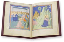 Pacino di Bonaguida’s Picture Book – Müller & Schindler – MS M.643 – The Morgan Library & Museum (New York, USA) Pacino di Bonaguida’s Picture Book – Müller & Schindler – MS M.643 – The Morgan Library & Museum (New York, USA)