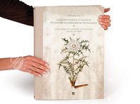 Paul Kitaibel: Descriptiones Et Icones Plantarum Rariorum Hungariae – Pytheas Books – Biblioteca Palatina (Parma, Italy) Paul Kitaibel: Descriptiones Et Icones Plantarum Rariorum Hungariae – Pytheas Books – Biblioteca Palatina (Parma, Italy)