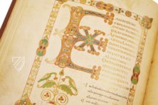 Psalter of Louis the German β Akademische Druck- u. Verlagsanstalt (ADEVA) β Ms. Theol. Lat. Fol. 58 β Staatsbibliothek zu Berlin (Berlin, Germany) Psalter of Louis the German β Akademische Druck- u. Verlagsanstalt (ADEVA) β Ms. Theol. Lat. Fol. 58 β Staatsbibliothek zu Berlin (Berlin, Germany)