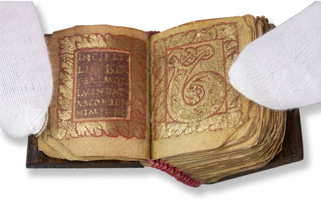 Psalterium Sancti Ruperti – Akademische Druck- u. Verlagsanstalt (ADEVA) – Cod. A I. 0 – Erzabtei St. Peter (Salzburg, Austria) Psalterium Sancti Ruperti – Akademische Druck- u. Verlagsanstalt (ADEVA) – Cod. A I. 0 – Erzabtei St. Peter (Salzburg, Austria)