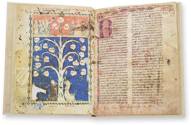 Ramon Llull's Tree of the Philosophy of Love β Millennium Liber β F-129 β Biblioteca Diocesana de Mallorca (Palma, Spain) Ramon Llull's Tree of the Philosophy of Love β Millennium Liber β F-129 β Biblioteca Diocesana de Mallorca (Palma, Spain)