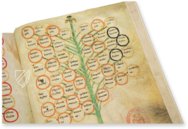 Ramon Llull's Tree of the Philosophy of Love β Millennium Liber β F-129 β Biblioteca Diocesana de Mallorca (Palma, Spain) Ramon Llull's Tree of the Philosophy of Love β Millennium Liber β F-129 β Biblioteca Diocesana de Mallorca (Palma, Spain)