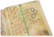 Ramon Llull's Tree of the Philosophy of Love β Millennium Liber β F-129 β Biblioteca Diocesana de Mallorca (Palma, Spain) Ramon Llull's Tree of the Philosophy of Love β Millennium Liber β F-129 β Biblioteca Diocesana de Mallorca (Palma, Spain)