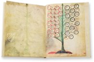 Ramon Llull's Tree of the Philosophy of Love β Millennium Liber β F-129 β Biblioteca Diocesana de Mallorca (Palma, Spain) Ramon Llull's Tree of the Philosophy of Love β Millennium Liber β F-129 β Biblioteca Diocesana de Mallorca (Palma, Spain)