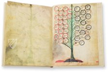 Ramon Llull's Tree of the Philosophy of Love β Millennium Liber β F-129 β Biblioteca Diocesana de Mallorca (Palma, Spain) Ramon Llull's Tree of the Philosophy of Love β Millennium Liber β F-129 β Biblioteca Diocesana de Mallorca (Palma, Spain)