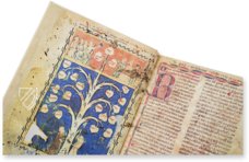 Ramon Llull's Tree of the Philosophy of Love β Millennium Liber β F-129 β Biblioteca Diocesana de Mallorca (Palma, Spain) Ramon Llull's Tree of the Philosophy of Love β Millennium Liber β F-129 β Biblioteca Diocesana de Mallorca (Palma, Spain)