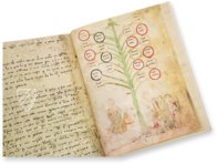 Ramon Llull's Tree of the Philosophy of Love β Millennium Liber β F-129 β Biblioteca Diocesana de Mallorca (Palma, Spain) Ramon Llull's Tree of the Philosophy of Love β Millennium Liber β F-129 β Biblioteca Diocesana de Mallorca (Palma, Spain)