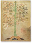 Ramon Llull's Tree of the Philosophy of Love β Millennium Liber β F-129 β Biblioteca Diocesana de Mallorca (Palma, Spain) Ramon Llull's Tree of the Philosophy of Love β Millennium Liber β F-129 β Biblioteca Diocesana de Mallorca (Palma, Spain)