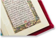 Rosary Psalter of Joanna of Castile β Patrimonio Ediciones β Ms. 257|Ms. Med. 35 β Fitzwilliam Museum (Cambridge, United Kingdom) Rosary Psalter of Joanna of Castile β Patrimonio Ediciones β Ms. 257|Ms. Med. 35 β Fitzwilliam Museum (Cambridge, United Kingdom)