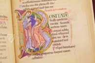 St. Alban’s Psalter – Müller & Schindler – Ms. St. God. 1|Inv. No. M694 – Dombibliothek Hildesheim (Hildesheim, Germany) St. Alban’s Psalter – Müller & Schindler – Ms. St. God. 1|Inv. No. M694 – Dombibliothek Hildesheim (Hildesheim, Germany)