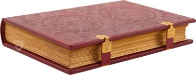 St. Alban’s Psalter – Müller & Schindler – Ms. St. God. 1|Inv. No. M694 – Dombibliothek Hildesheim (Hildesheim, Germany) St. Alban’s Psalter – Müller & Schindler – Ms. St. God. 1|Inv. No. M694 – Dombibliothek Hildesheim (Hildesheim, Germany)