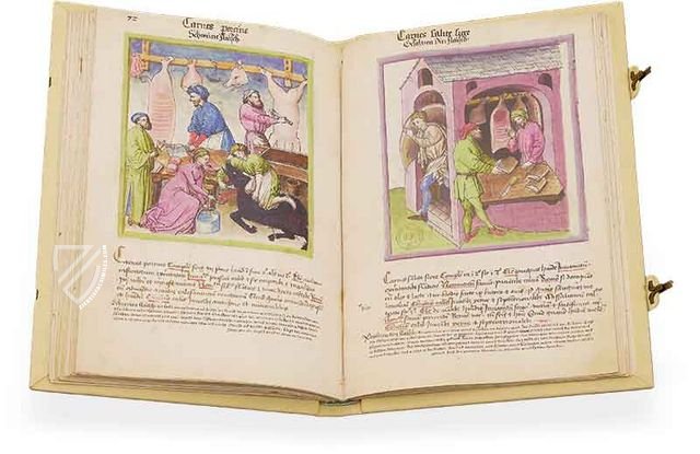 Tacuinum Sanitatis - Codex Paris - Ziereis Facsimiles