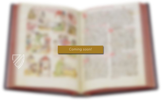 Tacuinum Sanitatis in Medicina – Editorial Casariego – Cod. Vindob. ser. nov. 2644 – Österreichische Nationalbibliothek (Vienna, Austria) Tacuinum Sanitatis in Medicina – Editorial Casariego – Cod. Vindob. ser. nov. 2644 – Österreichische Nationalbibliothek (Vienna, Austria)