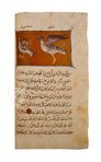 The Book of the Usefulness of Animals – AyN Ediciones – ms. árabe 898 – Real Biblioteca del Monasterio de San Lorenzo de El Escorial (San Lorenzo de El Escorial, Spain) The Book of the Usefulness of Animals – AyN Ediciones – ms. árabe 898 – Real Biblioteca del Monasterio de San Lorenzo de El Escorial (San Lorenzo de El Escorial, Spain)