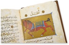 The Book of the Usefulness of Animals – AyN Ediciones – ms. árabe 898 – Real Biblioteca del Monasterio de San Lorenzo de El Escorial (San Lorenzo de El Escorial, Spain) The Book of the Usefulness of Animals – AyN Ediciones – ms. árabe 898 – Real Biblioteca del Monasterio de San Lorenzo de El Escorial (San Lorenzo de El Escorial, Spain)