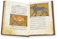 The Book of the Usefulness of Animals – AyN Ediciones – ms. árabe 898 – Real Biblioteca del Monasterio de San Lorenzo de El Escorial (San Lorenzo de El Escorial, Spain) The Book of the Usefulness of Animals – AyN Ediciones – ms. árabe 898 – Real Biblioteca del Monasterio de San Lorenzo de El Escorial (San Lorenzo de El Escorial, Spain)