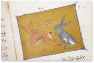 The Book of the Usefulness of Animals – AyN Ediciones – ms. árabe 898 – Real Biblioteca del Monasterio de San Lorenzo de El Escorial (San Lorenzo de El Escorial, Spain) The Book of the Usefulness of Animals – AyN Ediciones – ms. árabe 898 – Real Biblioteca del Monasterio de San Lorenzo de El Escorial (San Lorenzo de El Escorial, Spain)