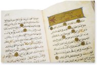 The Book of the Usefulness of Animals – AyN Ediciones – ms. árabe 898 – Real Biblioteca del Monasterio de San Lorenzo de El Escorial (San Lorenzo de El Escorial, Spain) The Book of the Usefulness of Animals – AyN Ediciones – ms. árabe 898 – Real Biblioteca del Monasterio de San Lorenzo de El Escorial (San Lorenzo de El Escorial, Spain)