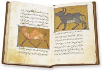 The Book of the Usefulness of Animals – Kaydeda Ediciones – ms. árabe 898 – Real Biblioteca del Monasterio de San Lorenzo de El Escorial (San Lorenzo de El Escorial, Spain) The Book of the Usefulness of Animals – Kaydeda Ediciones – ms. árabe 898 – Real Biblioteca del Monasterio de San Lorenzo de El Escorial (San Lorenzo de El Escorial, Spain)