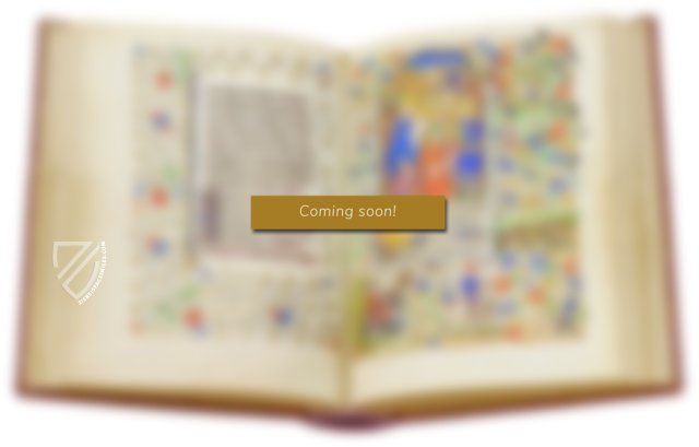 The Cocharelli Codex