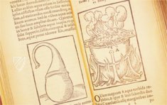 Thesaurus de Remediis Secretis β Circulo Cientifico β 11-VI-28 β Real Biblioteca del Monasterio de San Lorenzo de El Escorial (San Lorenzo de El Escorial, Spain) Thesaurus de Remediis Secretis β Circulo Cientifico β 11-VI-28 β Real Biblioteca del Monasterio de San Lorenzo de El Escorial (San Lorenzo de El Escorial, Spain)