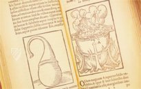 Thesaurus de Remediis Secretis β Circulo Cientifico β 11-VI-28 β Real Biblioteca del Monasterio de San Lorenzo de El Escorial (San Lorenzo de El Escorial, Spain) Thesaurus de Remediis Secretis β Circulo Cientifico β 11-VI-28 β Real Biblioteca del Monasterio de San Lorenzo de El Escorial (San Lorenzo de El Escorial, Spain)