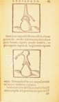 Thesaurus de Remediis Secretis β Circulo Cientifico β 11-VI-28 β Real Biblioteca del Monasterio de San Lorenzo de El Escorial (San Lorenzo de El Escorial, Spain) Thesaurus de Remediis Secretis β Circulo Cientifico β 11-VI-28 β Real Biblioteca del Monasterio de San Lorenzo de El Escorial (San Lorenzo de El Escorial, Spain)