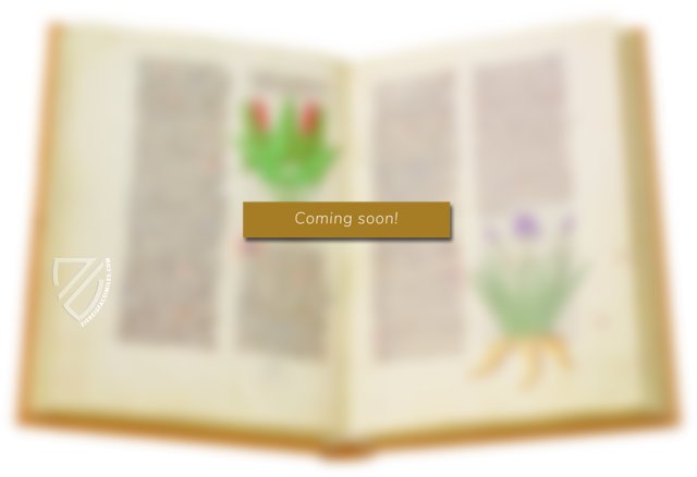 Tractatus de Fascinatione â Vicent Garcia Editores â 11383 â Biblioteca LĂĄzaro Galdiano (Madrid, Spain) Tractatus de Fascinatione â Vicent Garcia Editores â 11383 â Biblioteca LĂĄzaro Galdiano (Madrid, Spain)