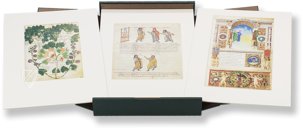 Treasures from the Biblioteca Apostolica Vaticana β Litterae β Faksimile Verlag β Cod. Vat. lat. 3225|Cod. Vat. lat. 3867|Cod. Pal.lat.1564|Cod. Vat. lat. 3868|Cod. Pal. Lat. 1071|Cod. Urb. lat. 365|Cod. Reg. Lat. 1896|Cod. Urb. lat. 276|Cod. Pal. L Treasures from the Biblioteca Apostolica Vaticana β Litterae β Faksimile Verlag β Cod. Vat. lat. 3225|Cod. Vat. lat. 3867|Cod. Pal.lat.1564|Cod. Vat. lat. 3868|Cod. Pal. Lat. 1071|Cod. Urb. lat. 365|Cod. Reg. Lat. 1896|Cod. Urb. lat. 276|Cod. Pal. L