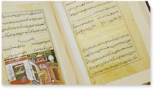 Tuti-Nama β Akademische Druck- u. Verlagsanstalt (ADEVA) β Cleveland Museum of Art (Cleveland, USA) Tuti-Nama β Akademische Druck- u. Verlagsanstalt (ADEVA) β Cleveland Museum of Art (Cleveland, USA)