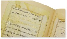 Tuti-Nama β Akademische Druck- u. Verlagsanstalt (ADEVA) β Cleveland Museum of Art (Cleveland, USA) Tuti-Nama β Akademische Druck- u. Verlagsanstalt (ADEVA) β Cleveland Museum of Art (Cleveland, USA)