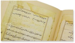 Tuti-Nama β Akademische Druck- u. Verlagsanstalt (ADEVA) β Cleveland Museum of Art (Cleveland, USA) Tuti-Nama β Akademische Druck- u. Verlagsanstalt (ADEVA) β Cleveland Museum of Art (Cleveland, USA)