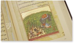 Tuti-Nama β Akademische Druck- u. Verlagsanstalt (ADEVA) β Cleveland Museum of Art (Cleveland, USA) Tuti-Nama β Akademische Druck- u. Verlagsanstalt (ADEVA) β Cleveland Museum of Art (Cleveland, USA)