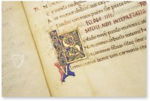 Virgil: Bucolics, Georgics and Aeneid
– Vicent Garcia Editores – Ms.837 – Biblioteca Històrica de la Universitat de València (Valencia, Spain) Virgil: Bucolics, Georgics and Aeneid
– Vicent Garcia Editores – Ms.837 – Biblioteca Històrica de la Universitat de València (Valencia, Spain)